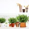 8 Bundles Artificial Eucalyptus & Boxwood Shrubs - UV Resistant No-Fade Faux Greenery - 13" Small Fake Plants for Outdoor Hanging Planters, Porch, Garden, Patio & Indoor Home Office Decor (Green)